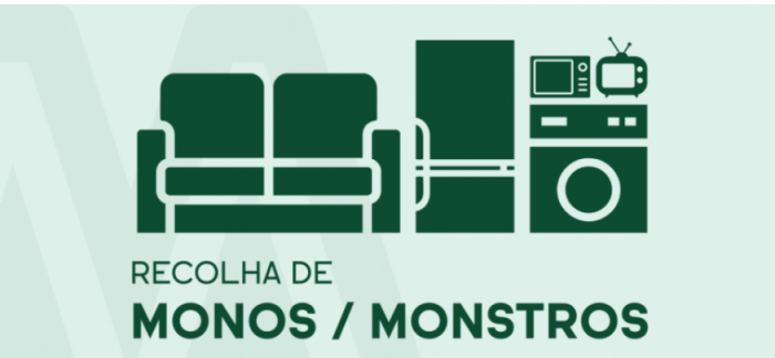 Moimenta da Beira - Recolha de Monos