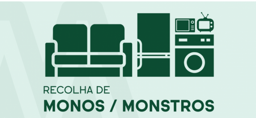 Moimenta da Beira - Recolha de Monos